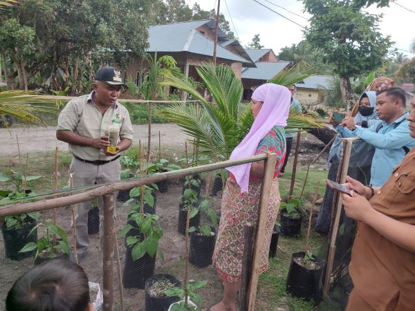 Kades Koto Tuo Kampar Lakukan Monitoring Rumah Tangga Mandiri Pangan